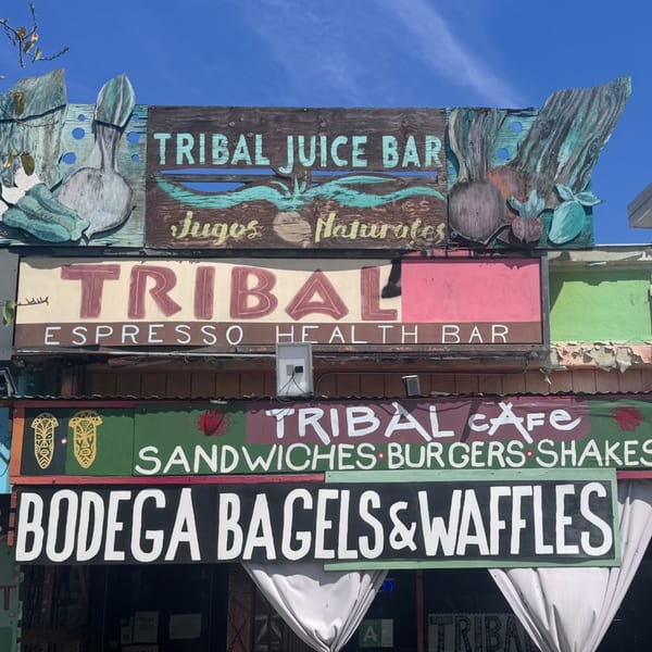 Multiple colorful, hand-painted signs for Tribal Cafe, Tribal Juice Bar, and Bodega Bagels & Waffles.